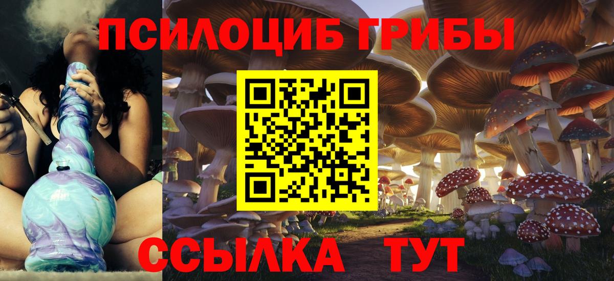 Галлюциногенные грибы Psilocybe Ипатово