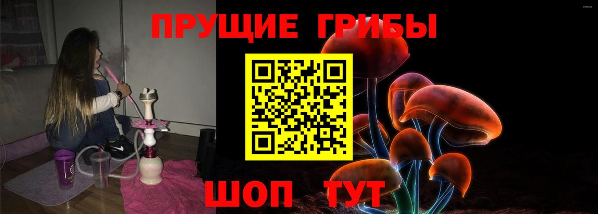 Ипатово  Галлюциногенные грибы MAGIC MUSHROOMS  Галлюциногенные грибы прущие грибы  Вход с VPN 